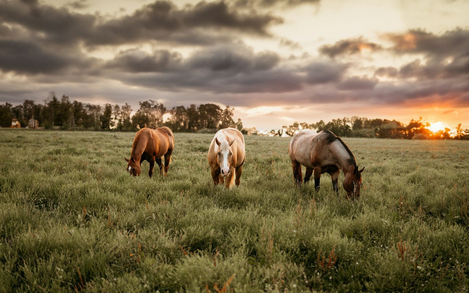 Loomis, Placer County